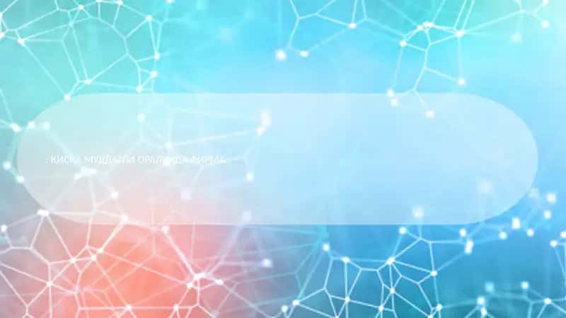 ҚИСҚА МУДДАТЛИ ОРАЛИҚДА ФИРМА
