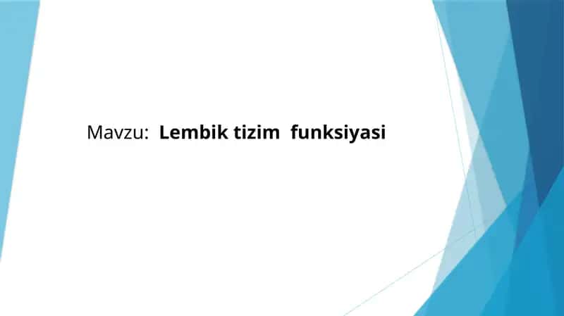 Lembik tizim funksiyasi