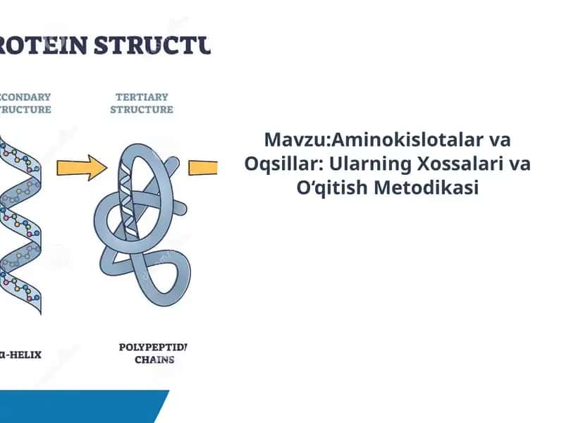 Aminokislotalar va Oqsillar: Ularning Xossalari va O‘qitish Metodikasi