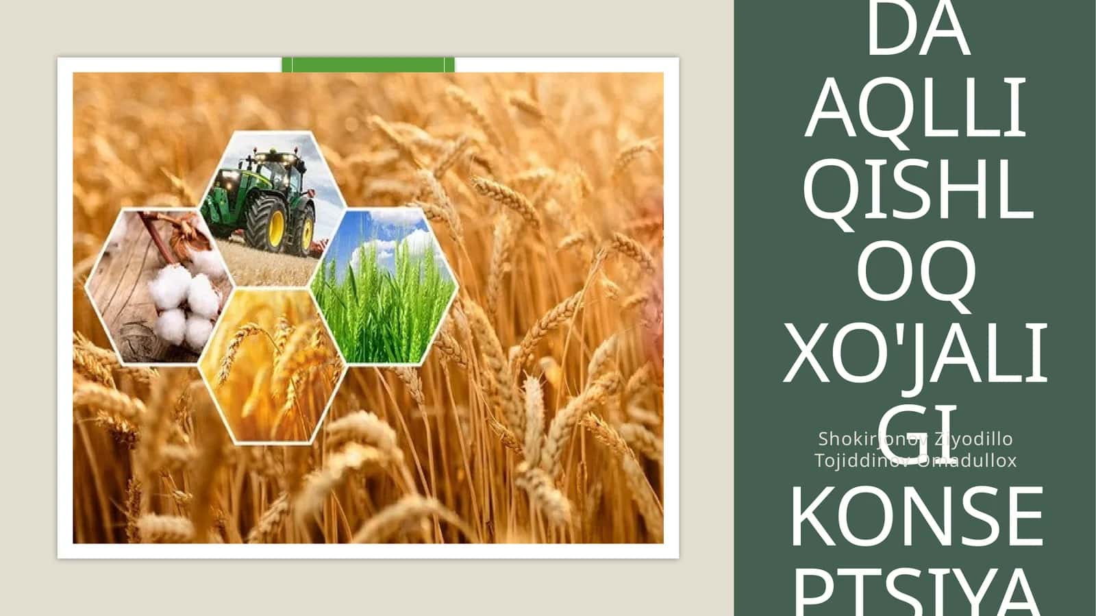 O'zbekistonda aqlli qishloq xo'jaligi konseptsiyasi