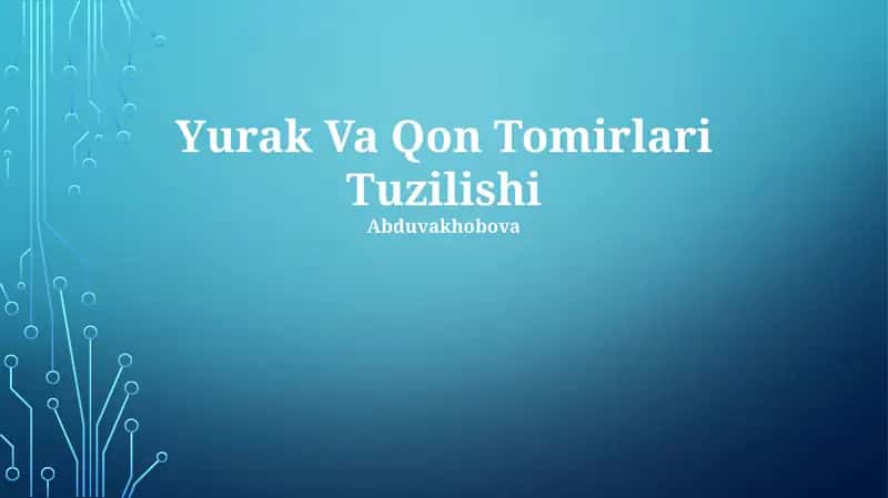 Yurak Va Qon Tomirlari Tuzilishi