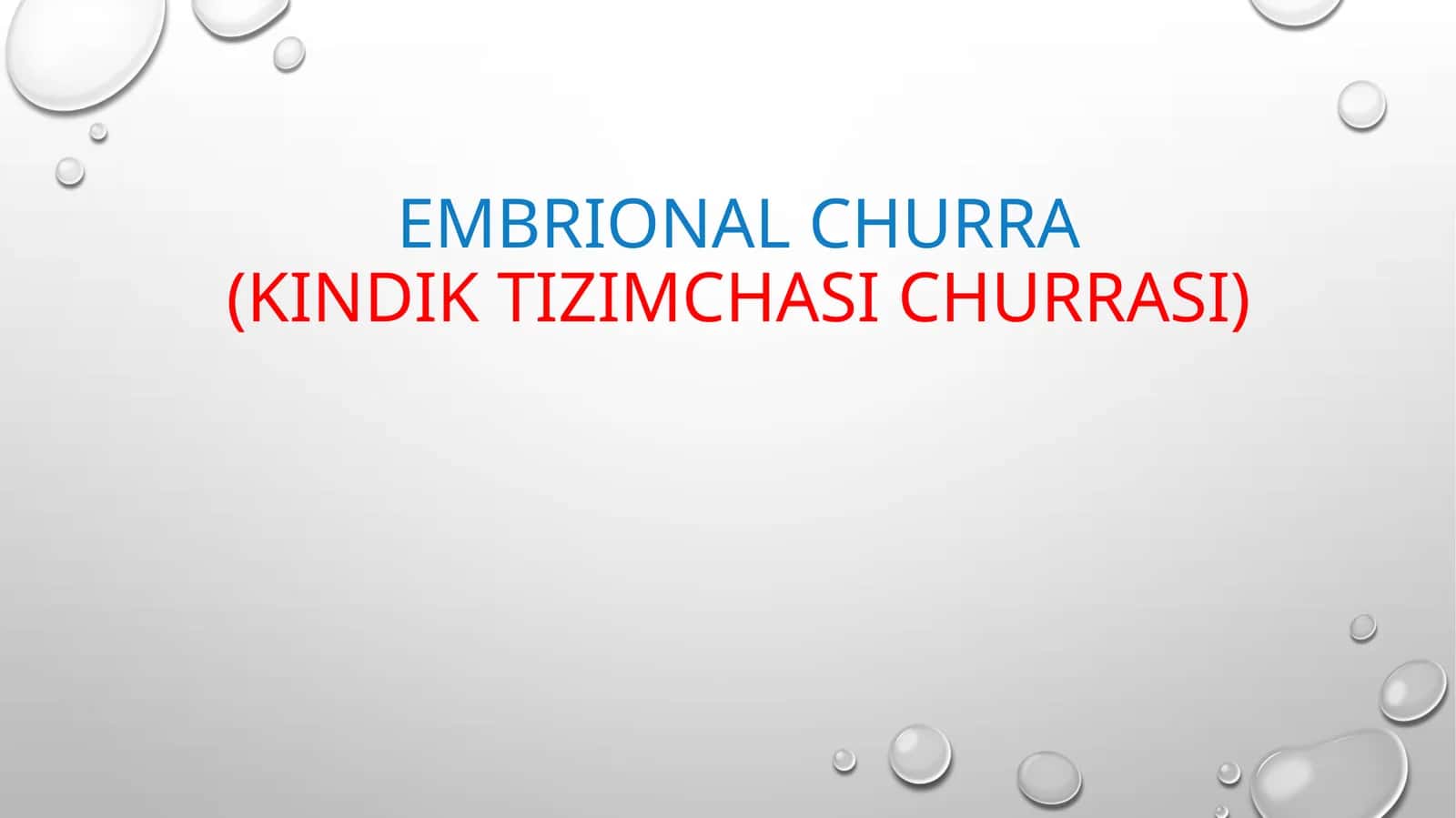 EMBRIONAL CHURRA(KINDIK TIZIMCHASI CHURRASI)