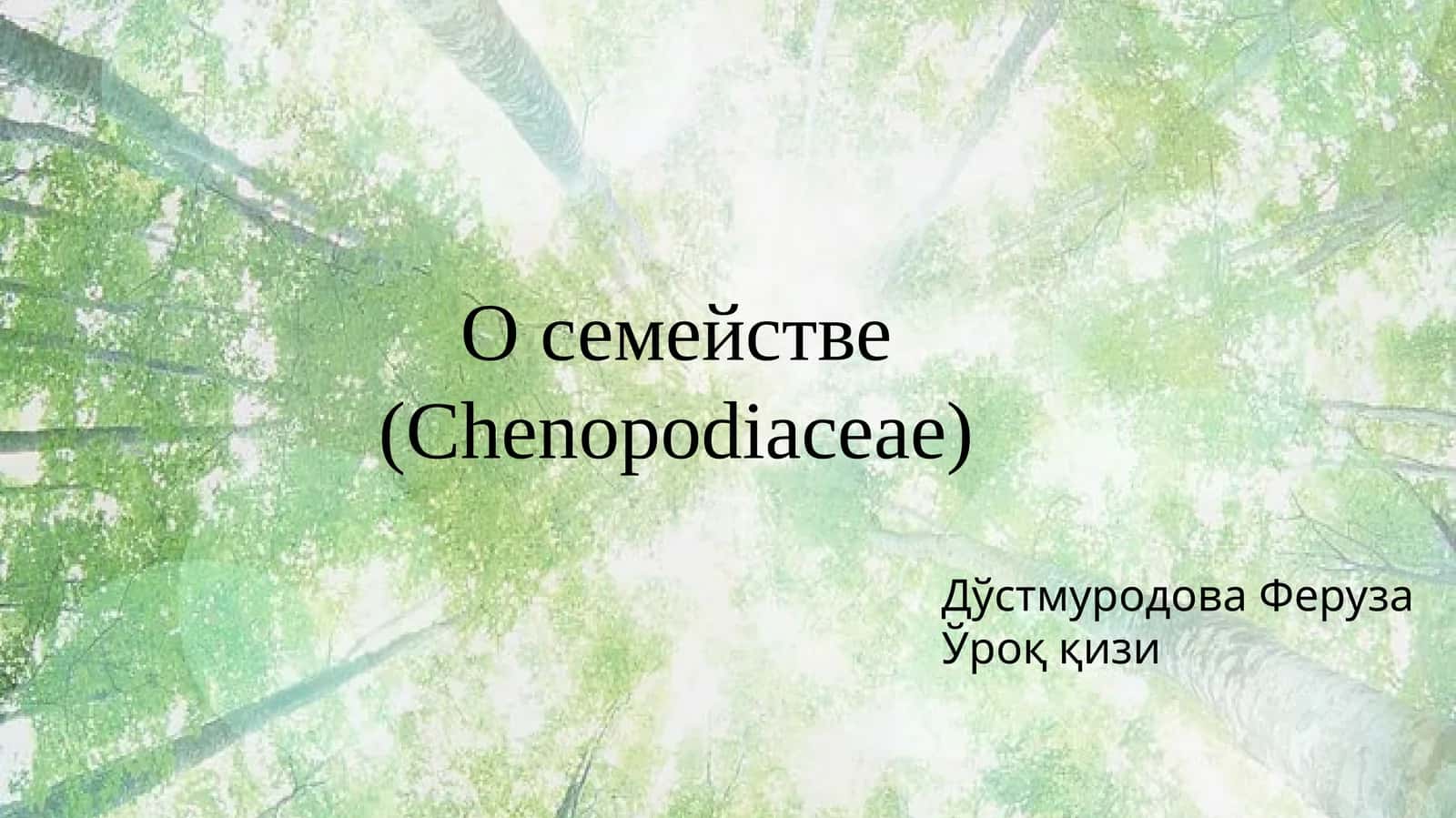 Маревые (Chenopodiaceae)