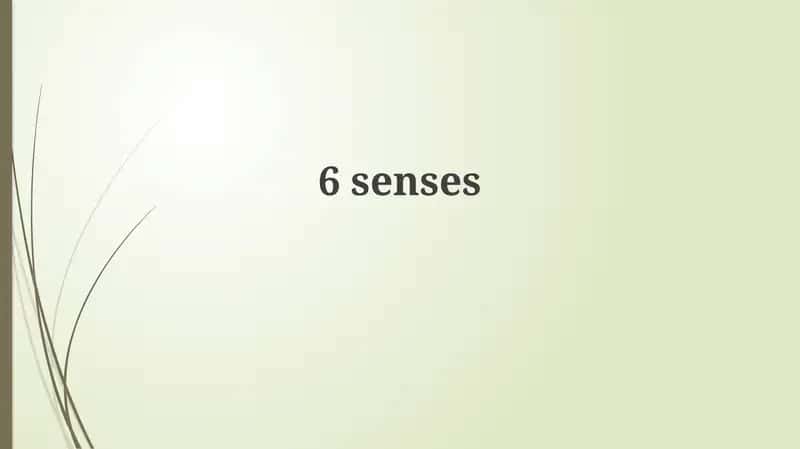 Beyond the Traditional Five: Unveiling Our Sensory World