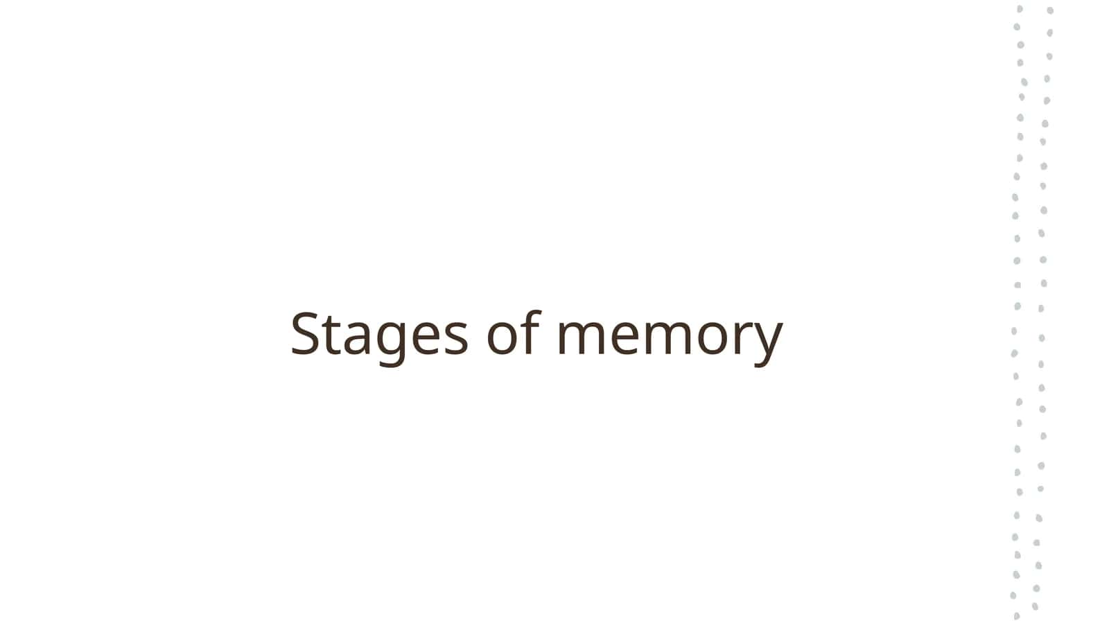 Stages of memory
