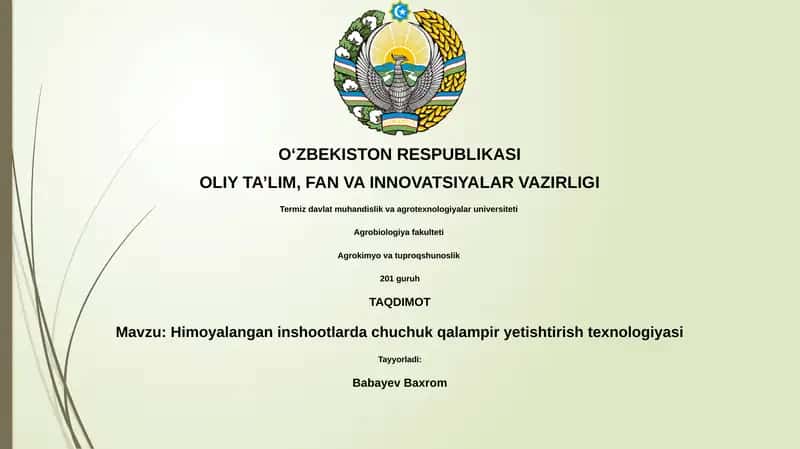 Himoyalangan inshootlarda chuchuk qalampir yetishtirish texnologiyasi