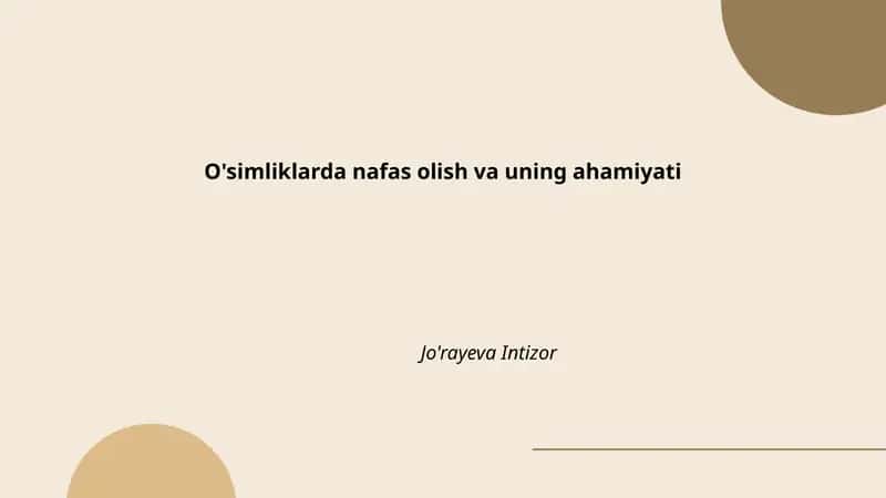 O'simliklarda nafas olish va uning ahamiyati