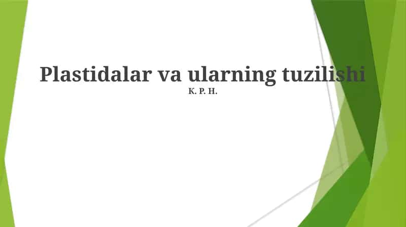 Plastidalar va ularning tuzilishi