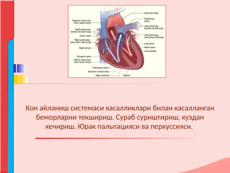 Кон айланиш системаси касалликлари билан касалланган беморларни текшириш. Сураб суриштириш, куздан к
