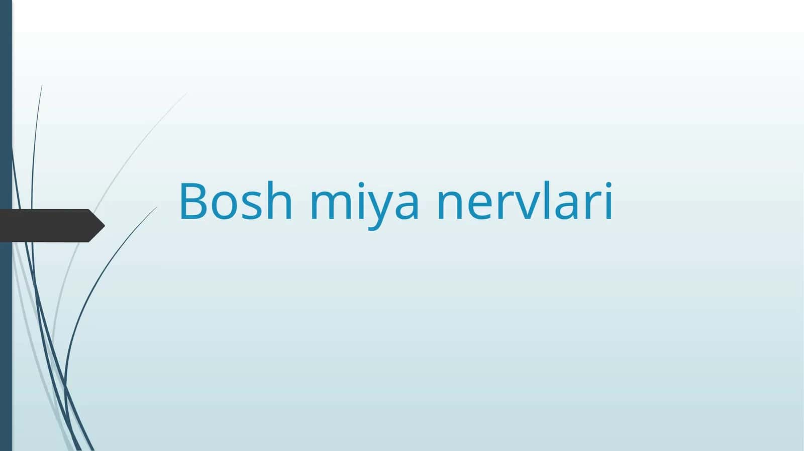 Boshmiyanervlari