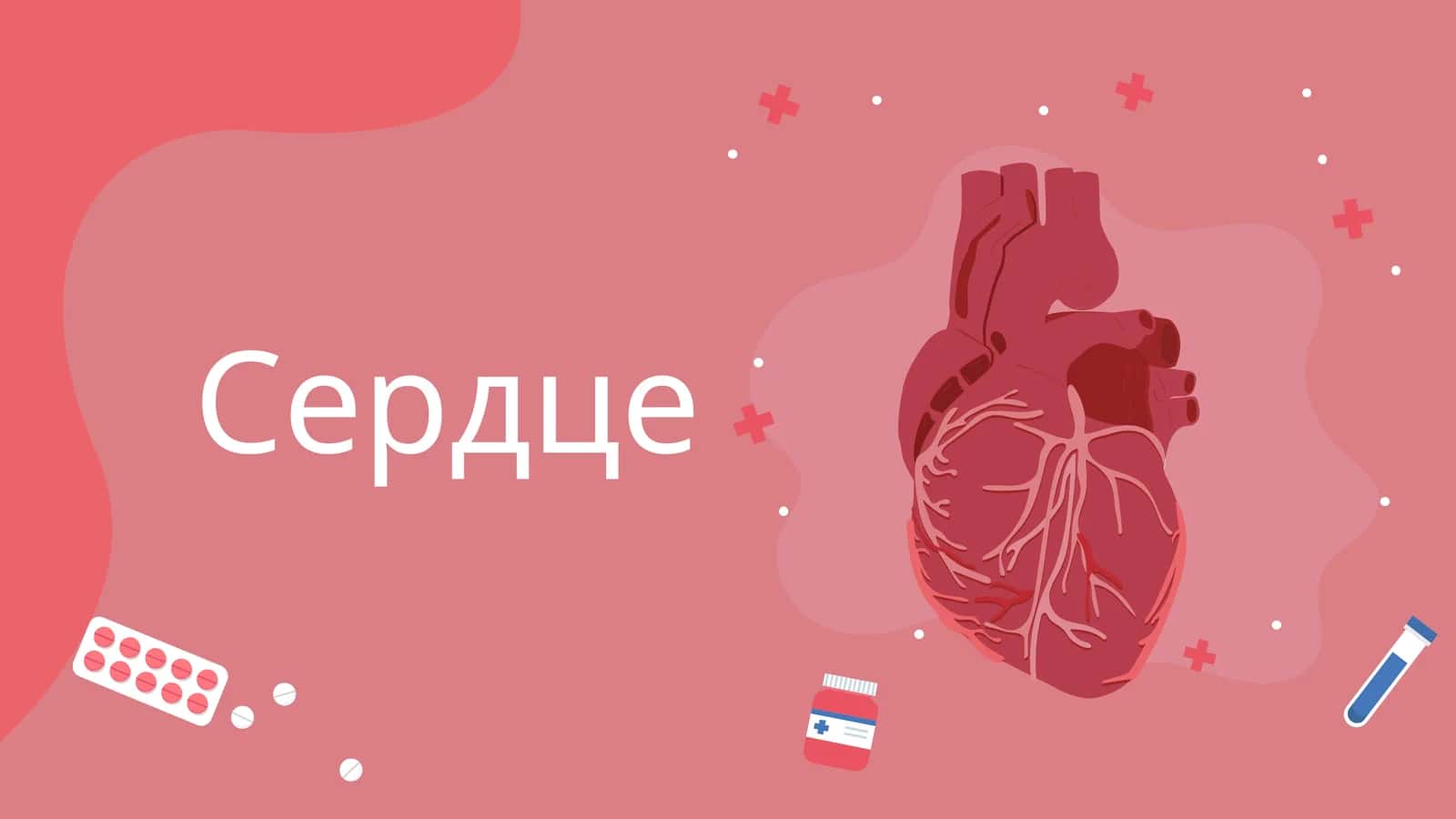 Ангиология