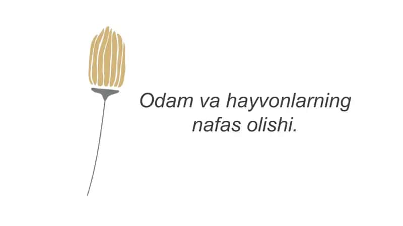 Nafas olish tizimi