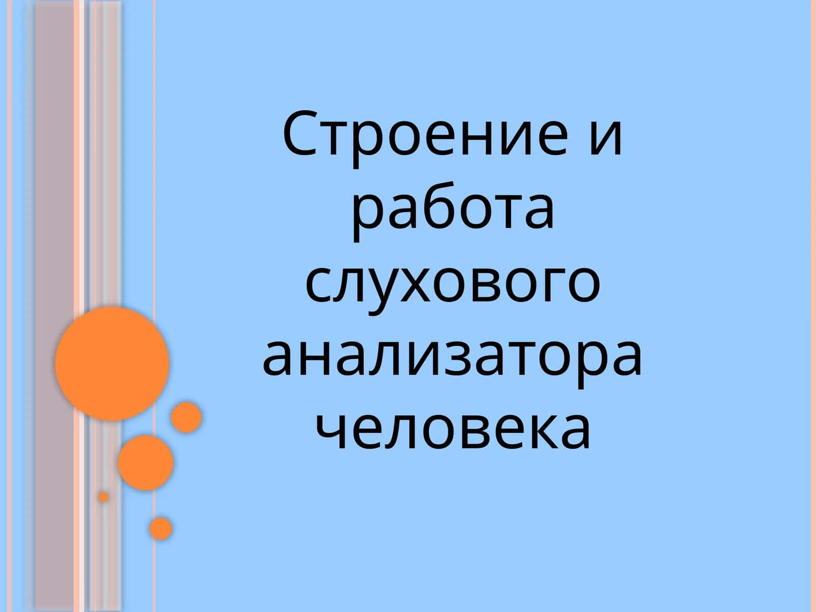 Строение и работа слухового анализатора человека