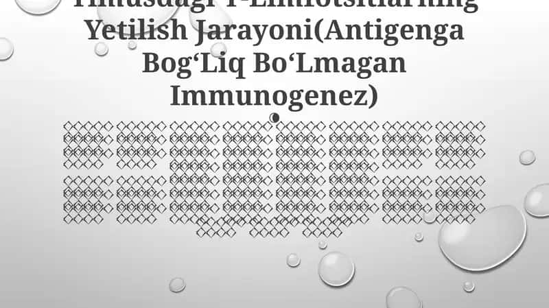 Timusdagi T-Limfotsitlarning Yetilish Jarayoni(Antigenga BogʻLiq BoʻLmagan Immunogenez)