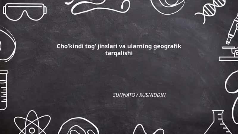 Choʻkindi togʻ jinslari va ularning geografik tarqalishi
