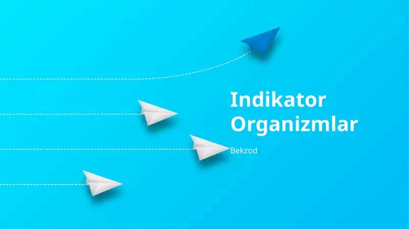 Indikator Organizmlar
