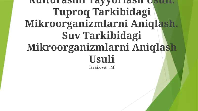 Pichan Basillasining Elektiv Kulturasini Tayyorlash Usuli