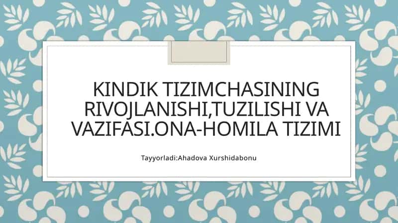 Kindiktizimchasiningrivojlanishi,tuzilishivavazifasi.Ona-homilatizimi