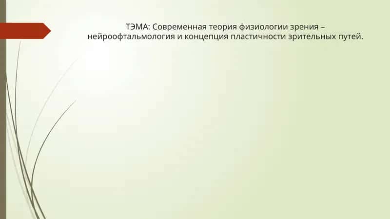 Современная теория физиологии зрения – нейроофтальмология и концепция пластичности зрительных путей.