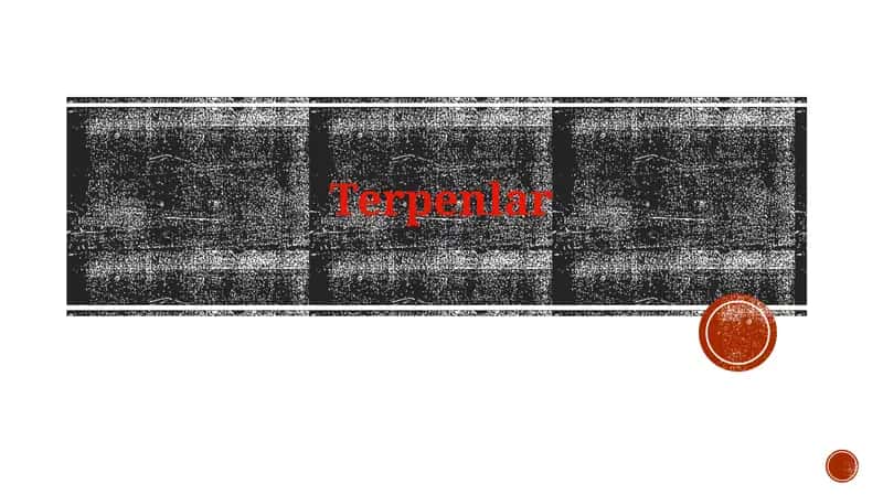 Terpenlar