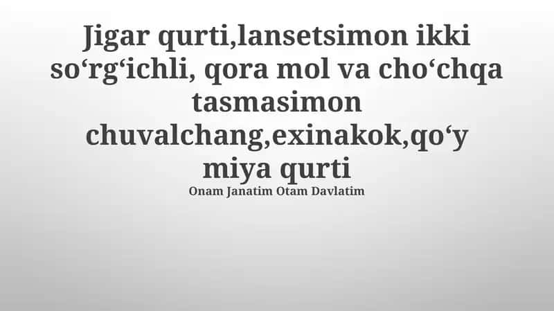 Oʻpka qurti