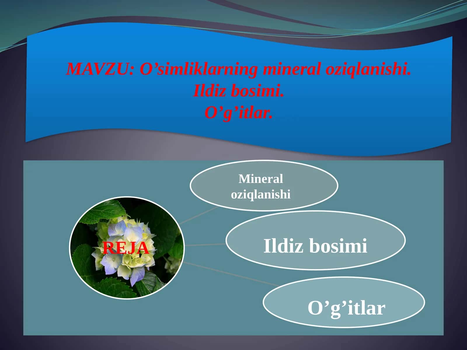 O’simliklarning mineraloziqlanishi