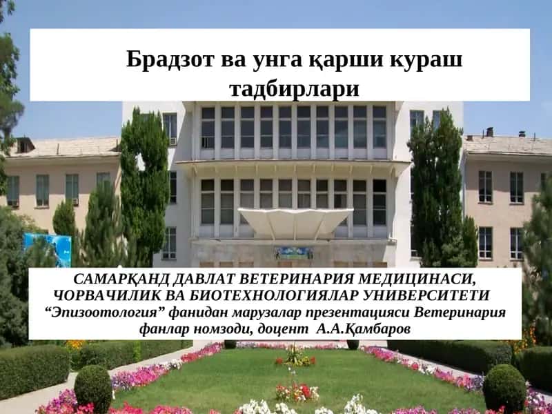 Брадзот ваунгақарши кураш тадбирлари