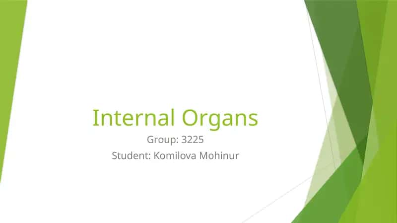 Internal Organs