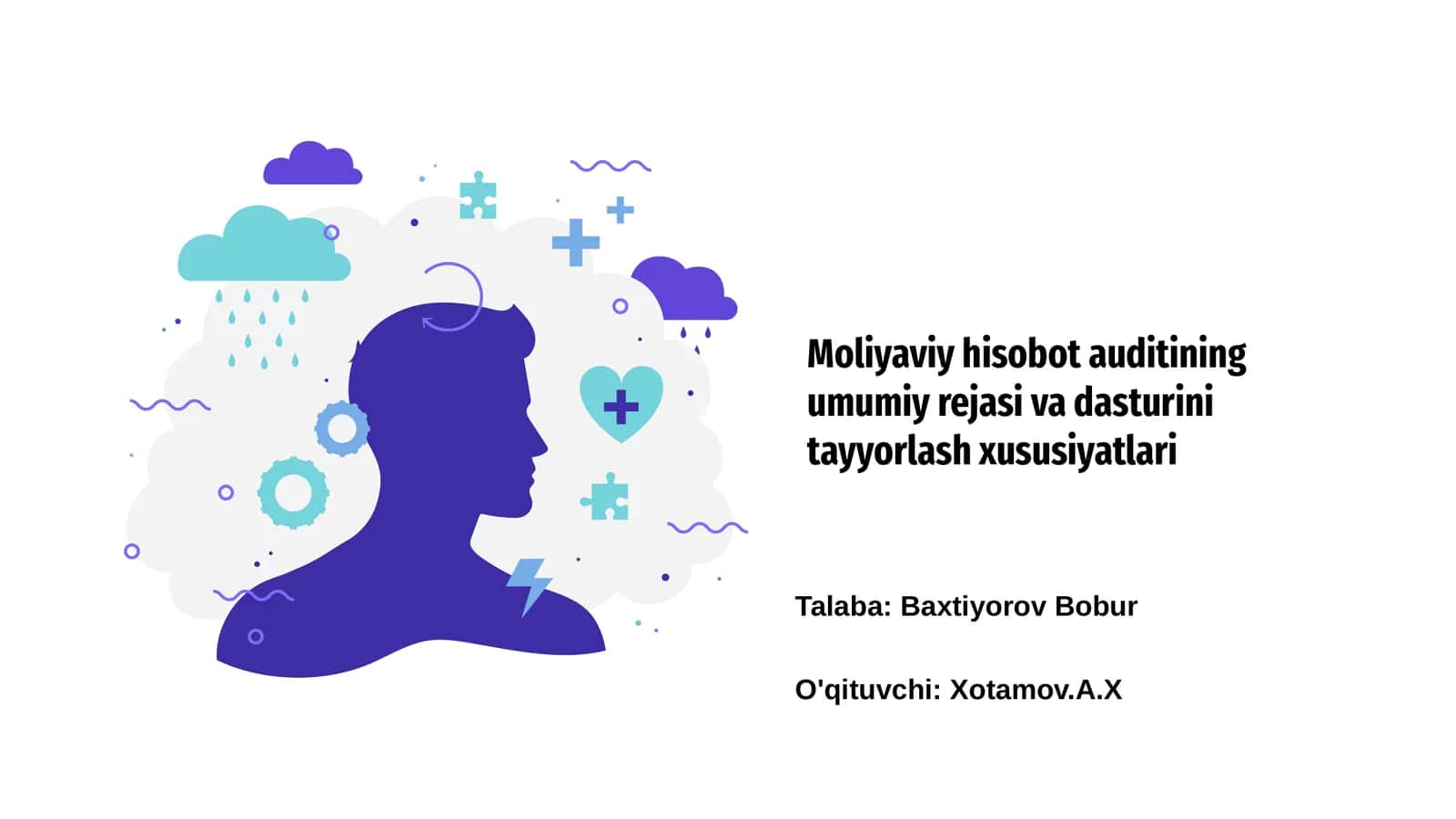 Moliyaviy hisobot auditining umumiy rejasi va dasturini tayyorlash xususiyatlari