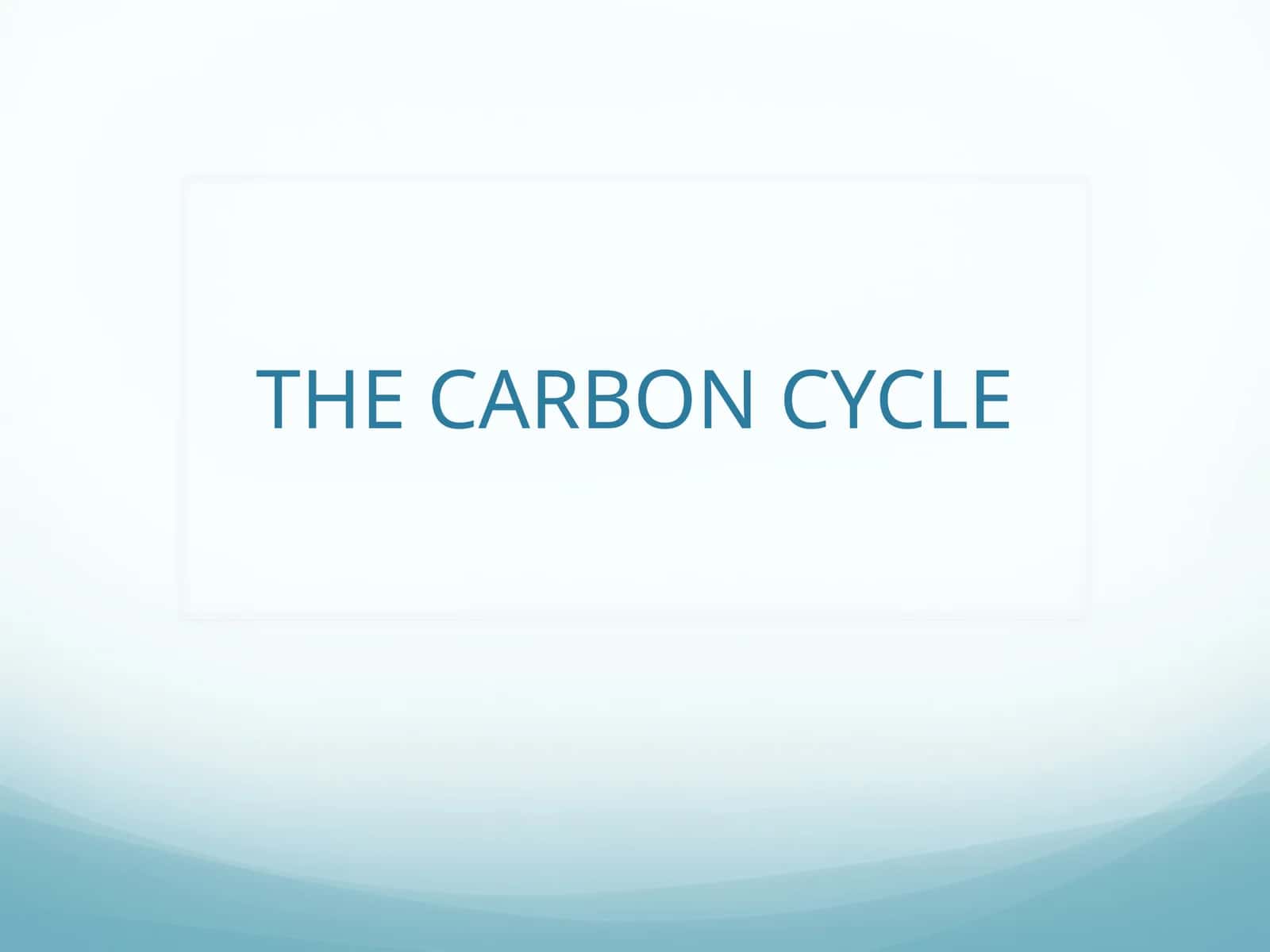 The Carbon Cycle