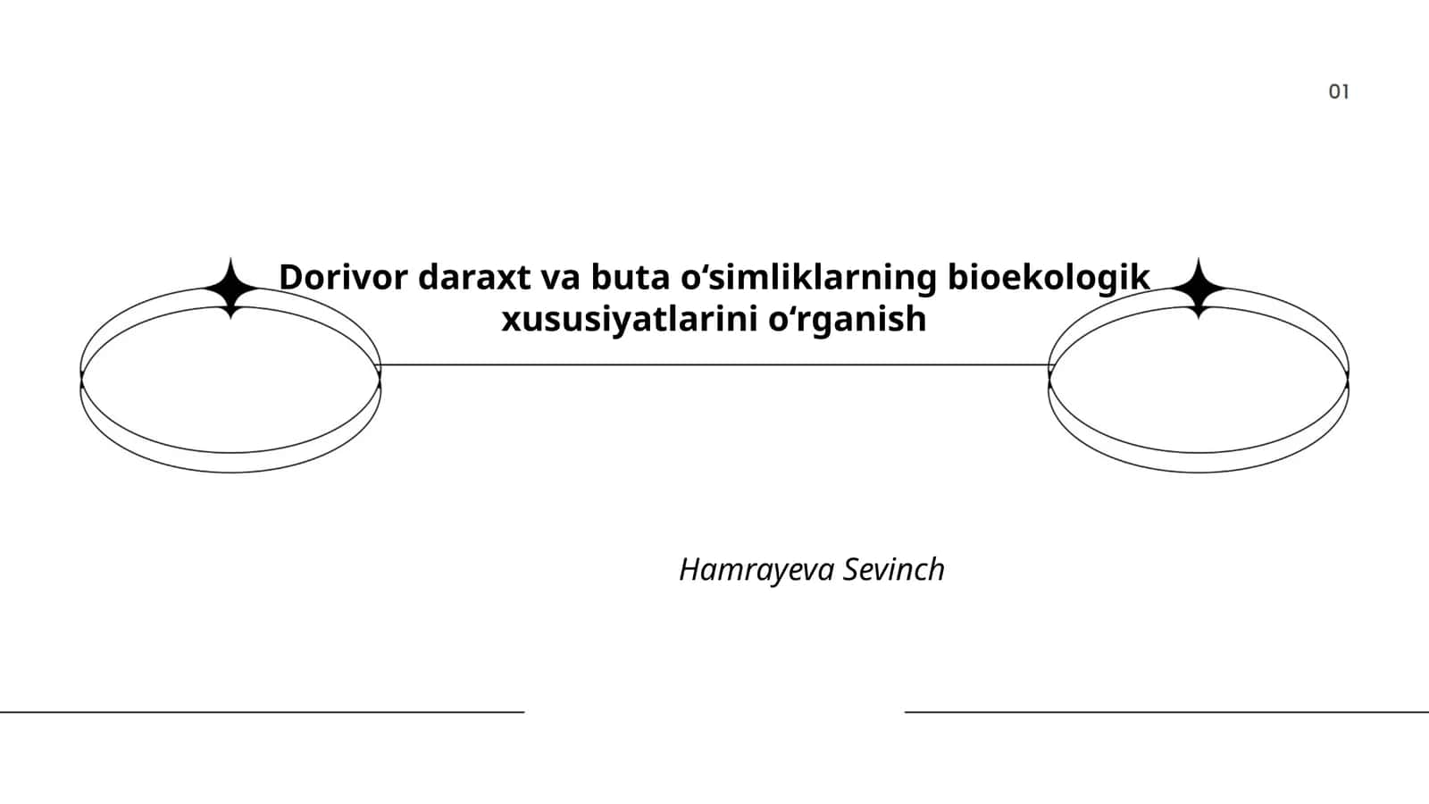 Dorivor daraxt va buta o‘simliklarning bioekologik xususiyatlarini o‘rganish