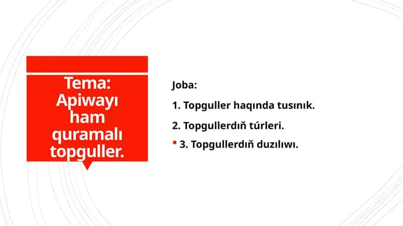 Apiwayı ham quramalı topguller