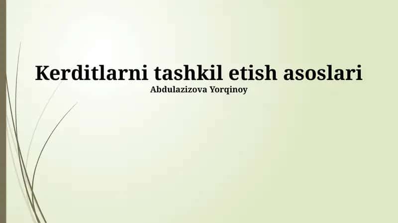 Kreditlarni tashkil etish asoslari