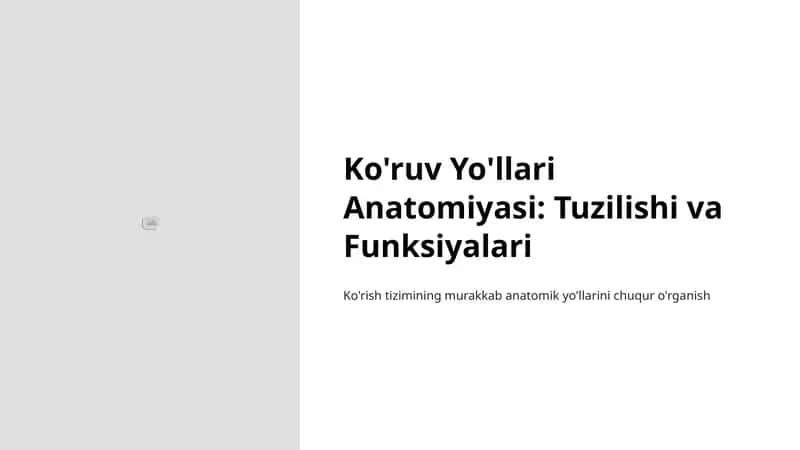 Ko'ruv Yo'llari Anatomiyasi: Tuzilishi va Funksiyalari