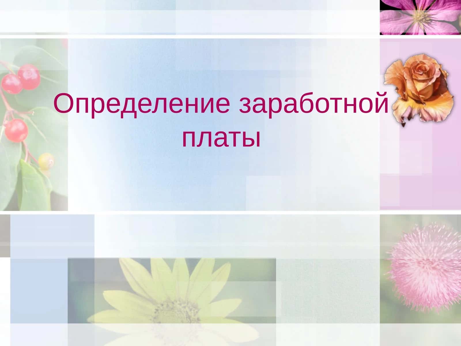 Определение заработной платы