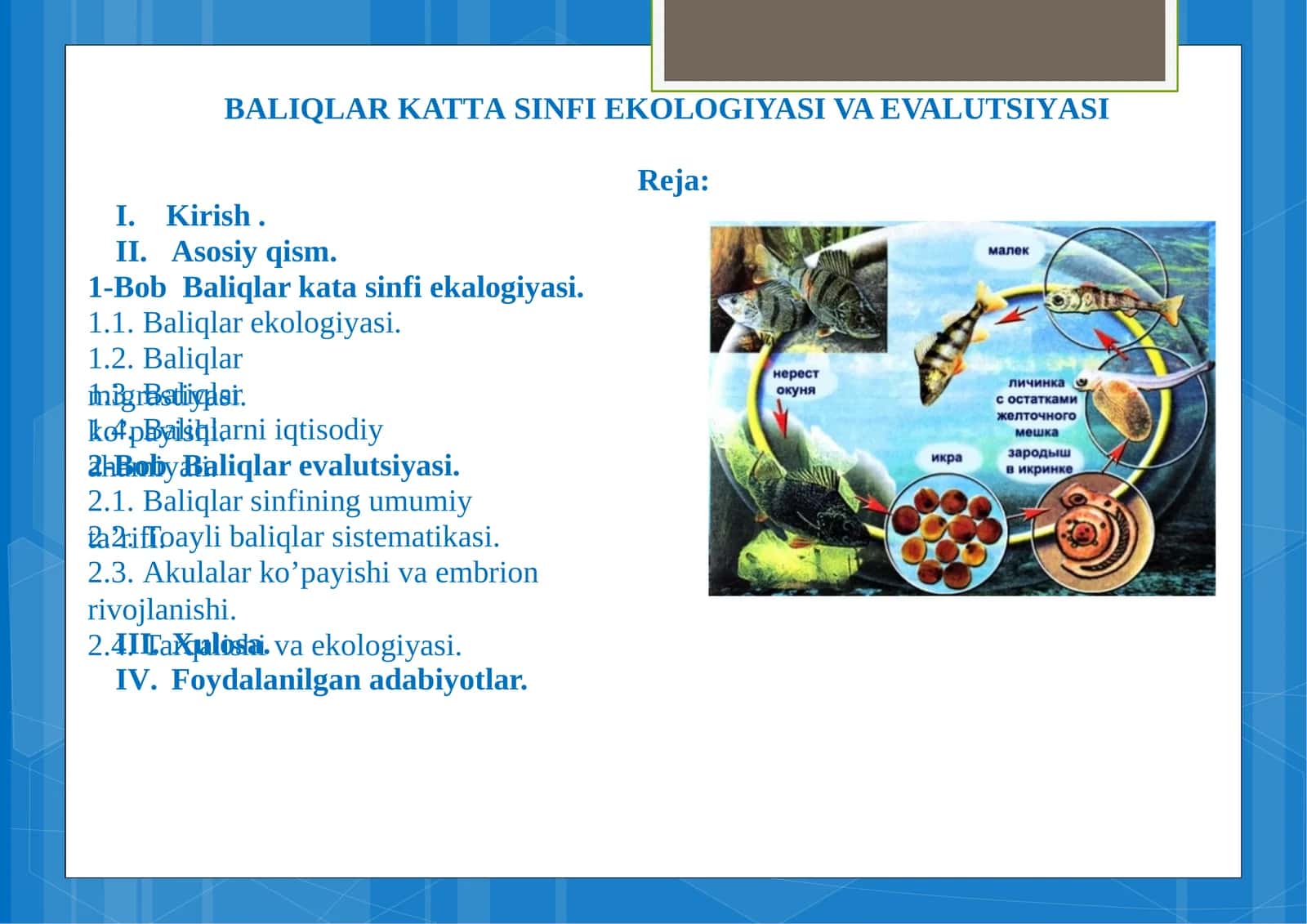 BALIQLAR KATTASINFI EKOLOGIYASI VA EVALUTSIYASI