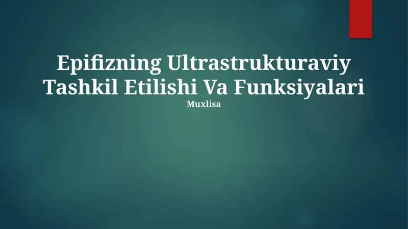 Epifizning Ultrastrukturaviy Tashkil Etilishi Va Funksiyalari