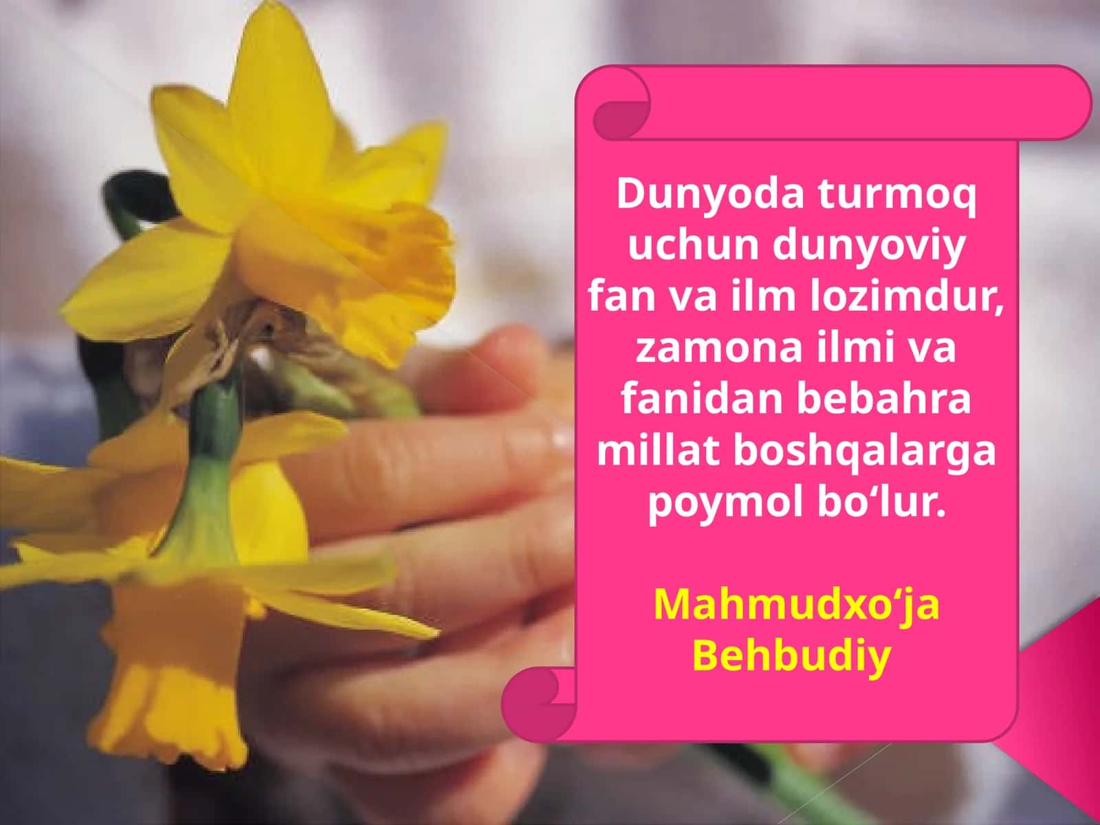 Nazm darslari va uning turlari?