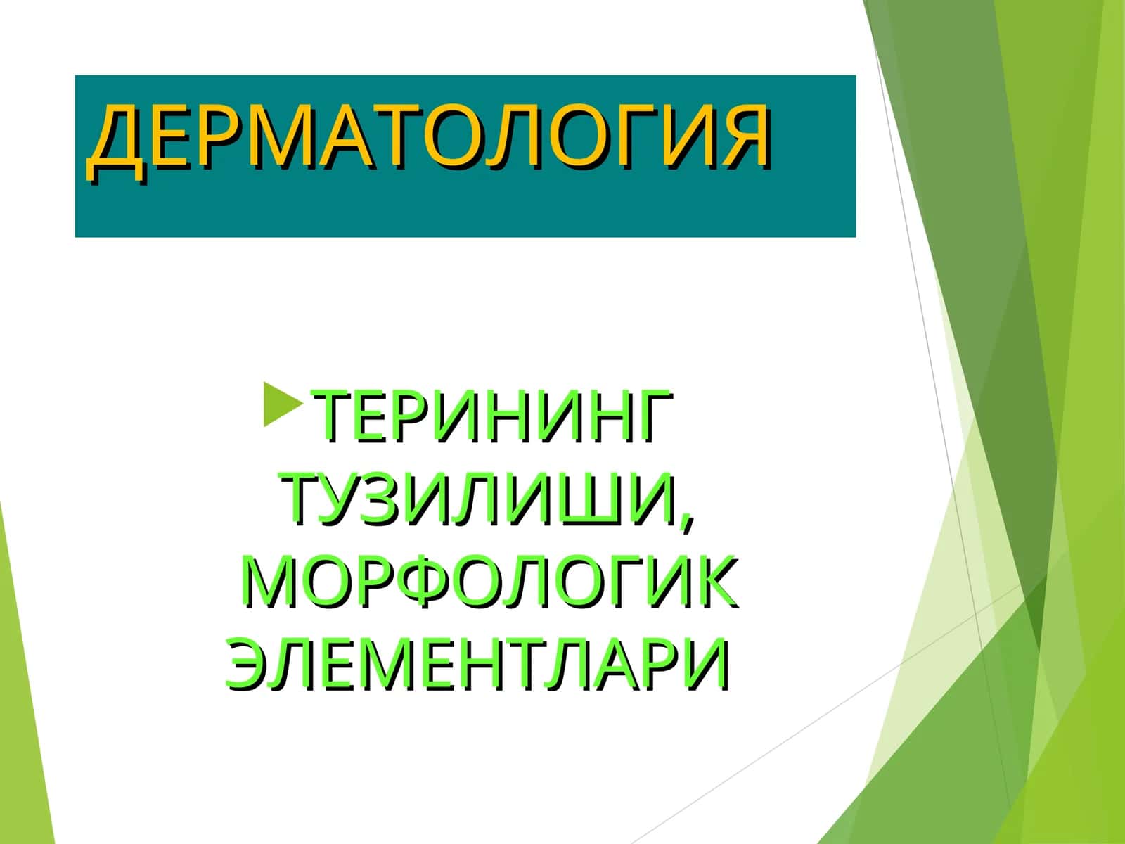 terining tuzilish elementlari