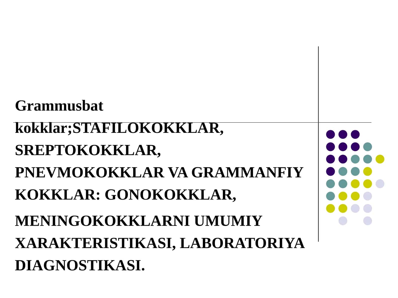 Grammusbat kokklar