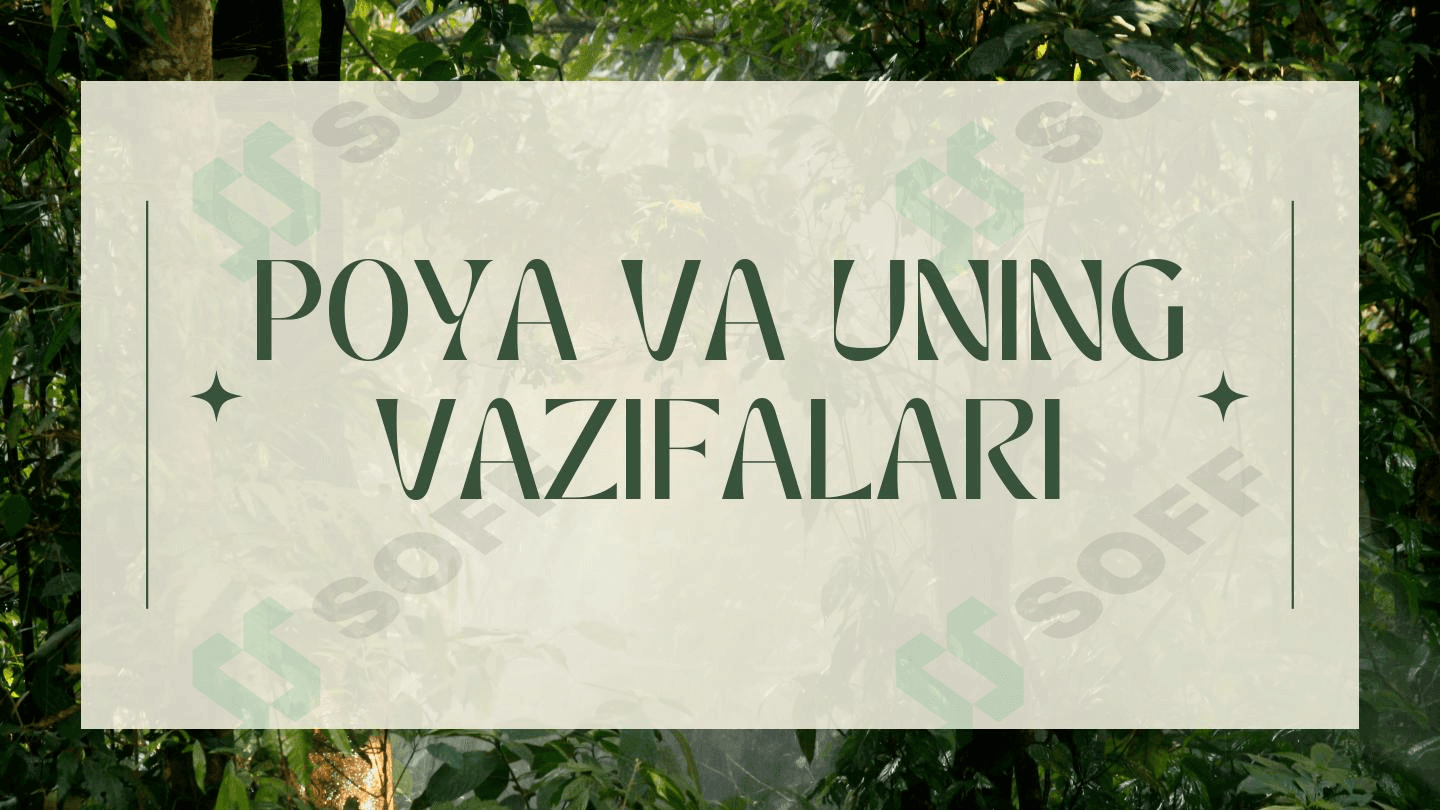 Poya va uning vazifalari