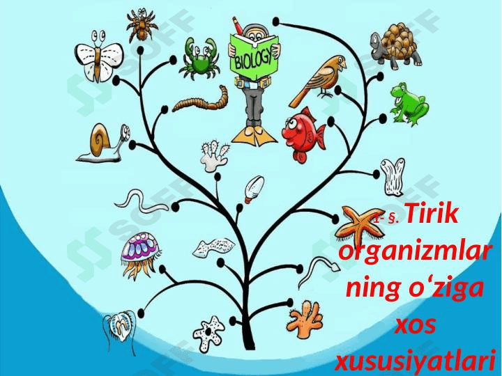 Tirik organizmlarning o‘ziga xos xususiyatlari