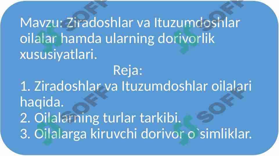 Ziradoshlar va Ituzumdoshlar oilalar hamda ularning dorivorlik xususiyatlari.