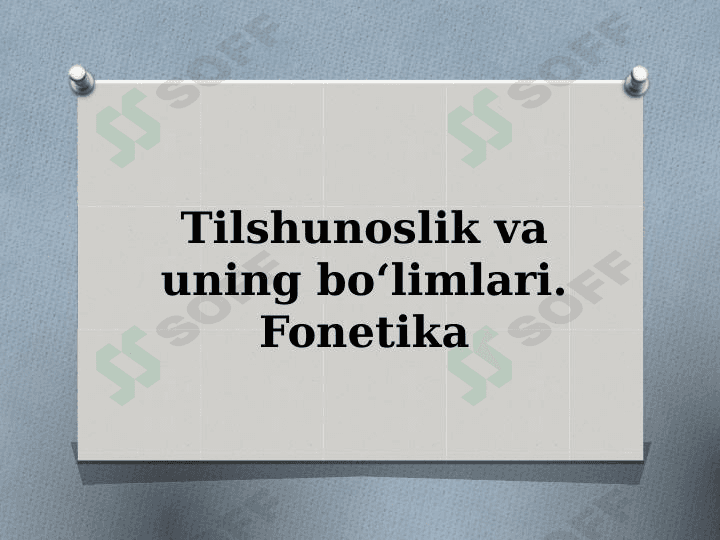 Tilshunoslik va uning bo‘limlari. Fonetika