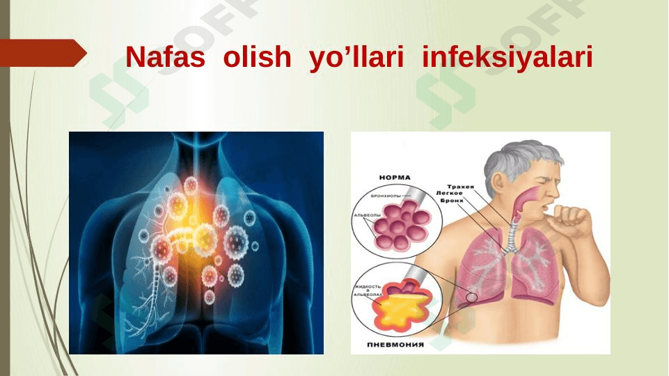 Nafas olish organlarining kasalliklari .