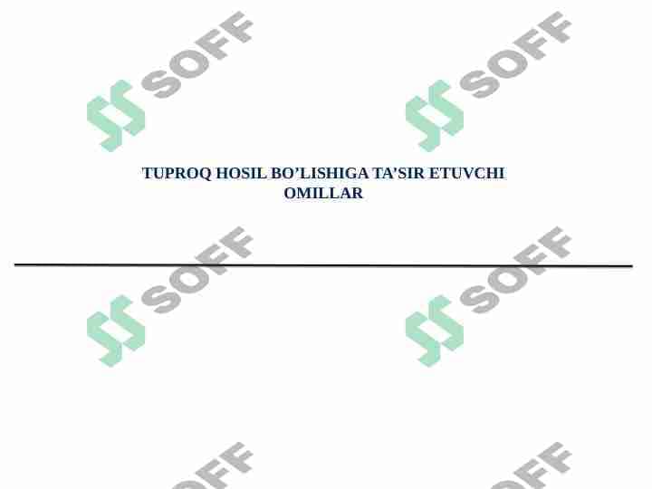 Tuproq hosil bo'lishiga ta'sir etuvchi omillar