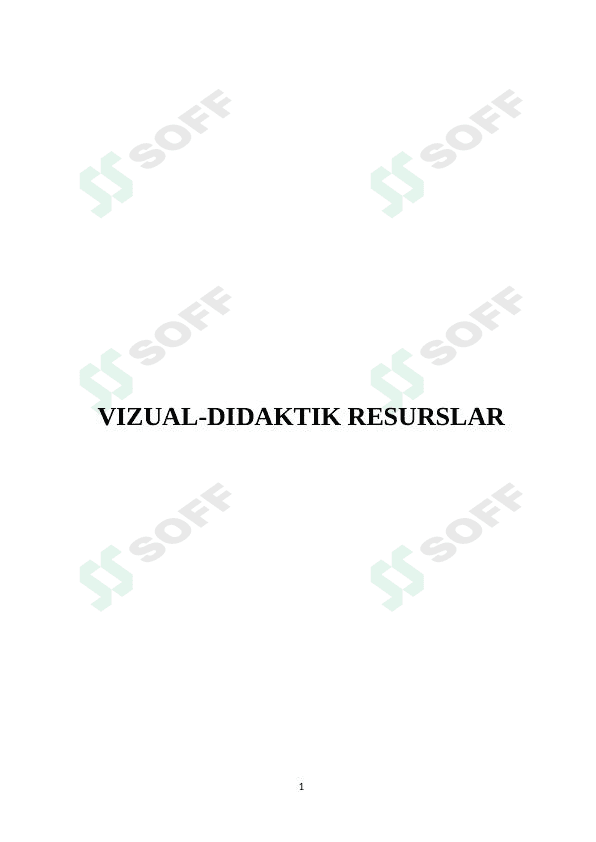 Vizual didaktik resurslar
