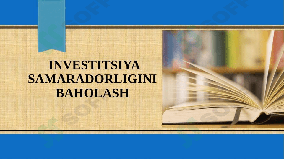 Investitsiya samaradorligini baholash