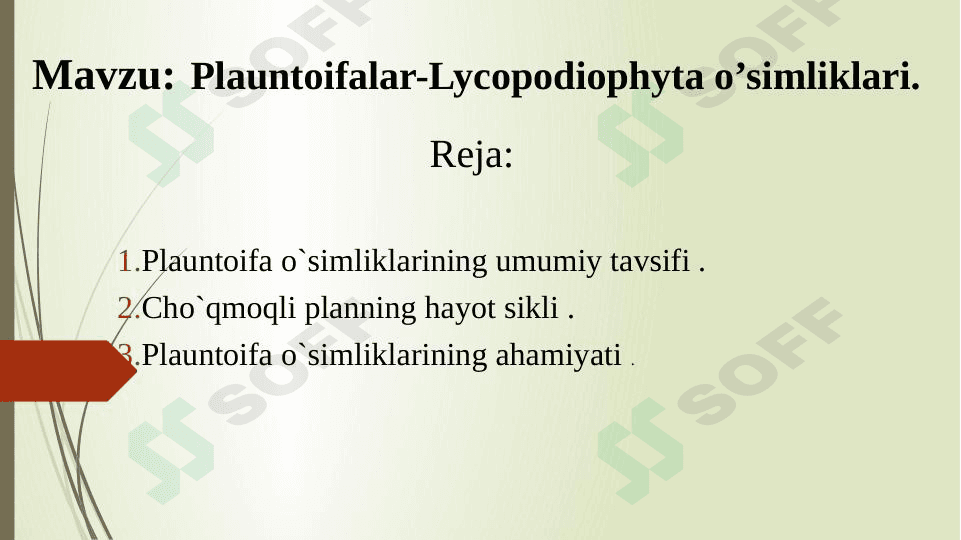Plauntoifalilar sinfi