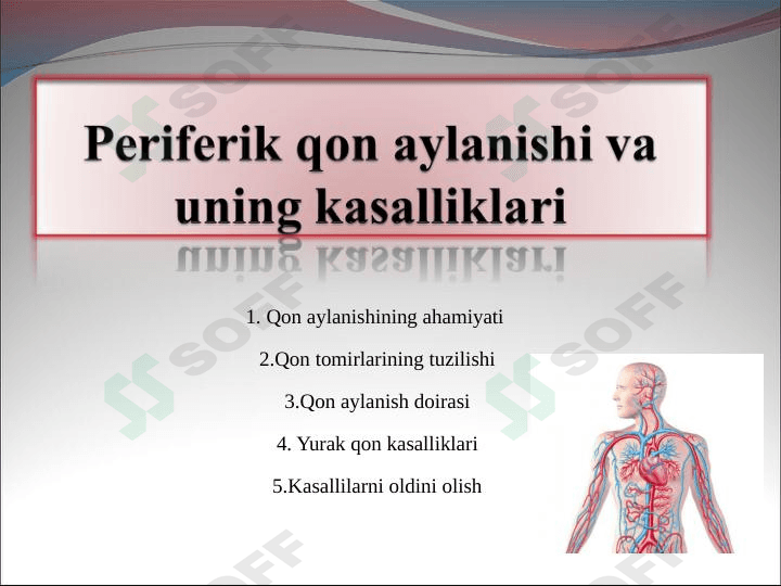 Yurak,Periferik qon aylanishi va uning kasalliklari